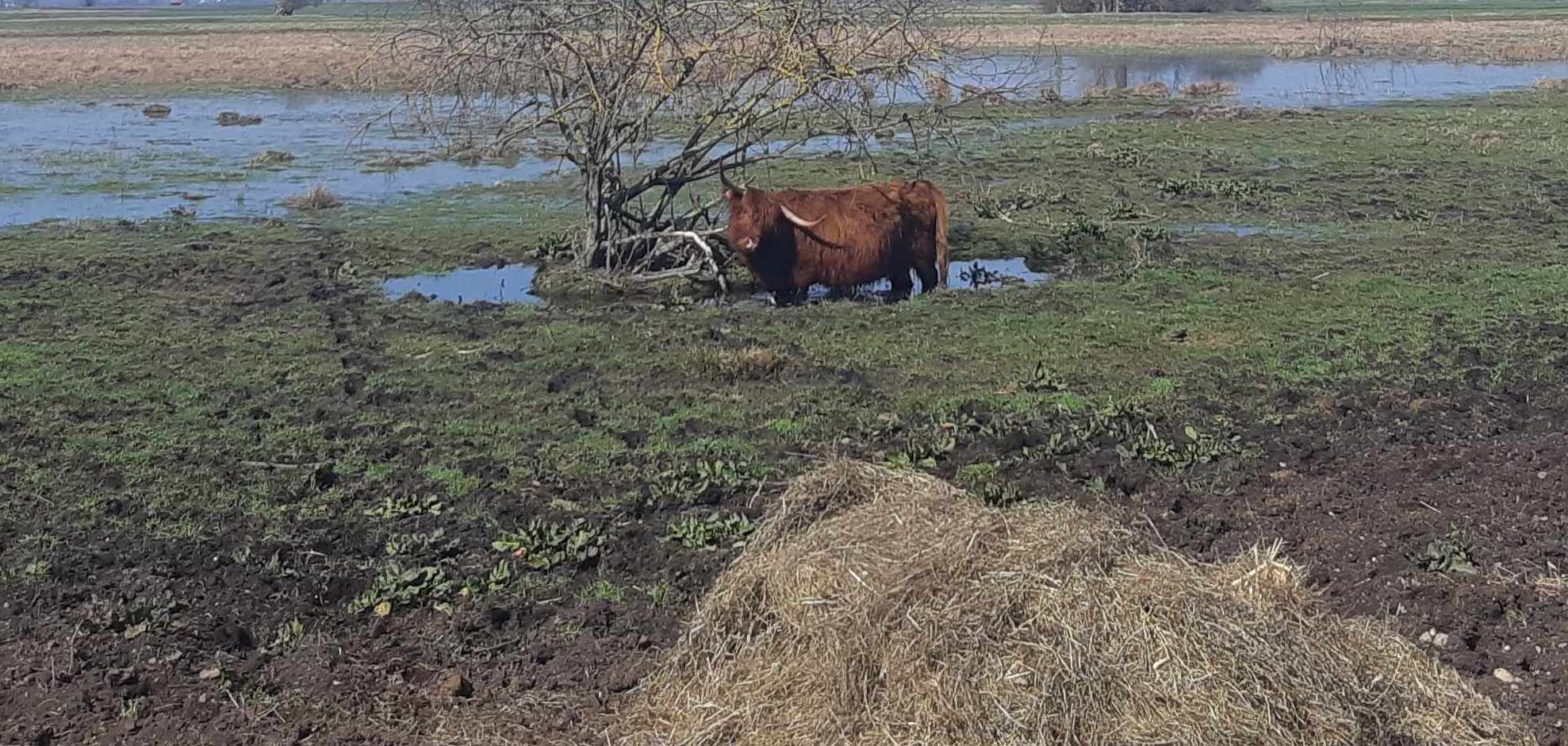 Klimaschutz durch Moorbodenschutz