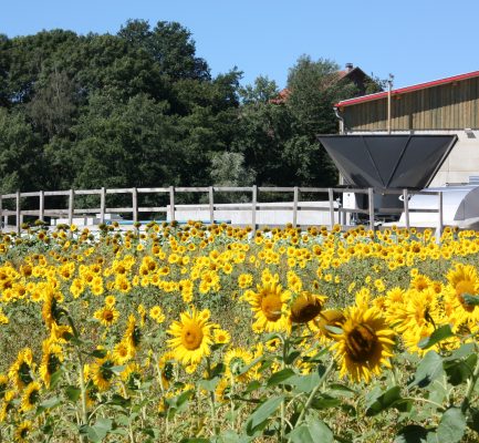 Zum 17. Mal traf sich die Branche beim Oberfränkischen Biogas Fortbildungsseminar