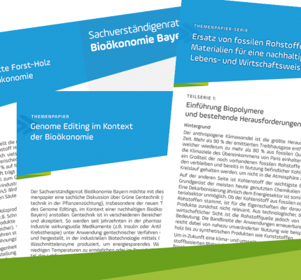 Handlungsempfehlungen für die Themen Gentechnik, Biopolymere und Forst-Holz