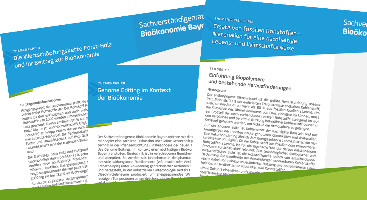 Handlungsempfehlungen für die Themen Gentechnik, Biopolymere und Forst-Holz