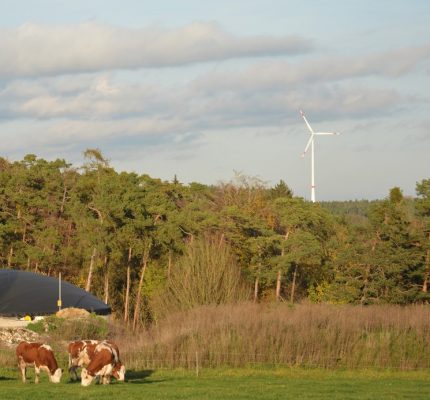 Zukunft Ackerbau: Feldroboter, Elektrotraktoren und andere Alternativen zum Dieselkraftstoff