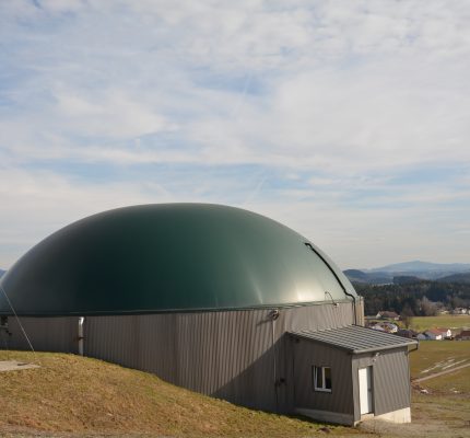 Biogasproduktion im Ökolandbau – lohnt sich das?