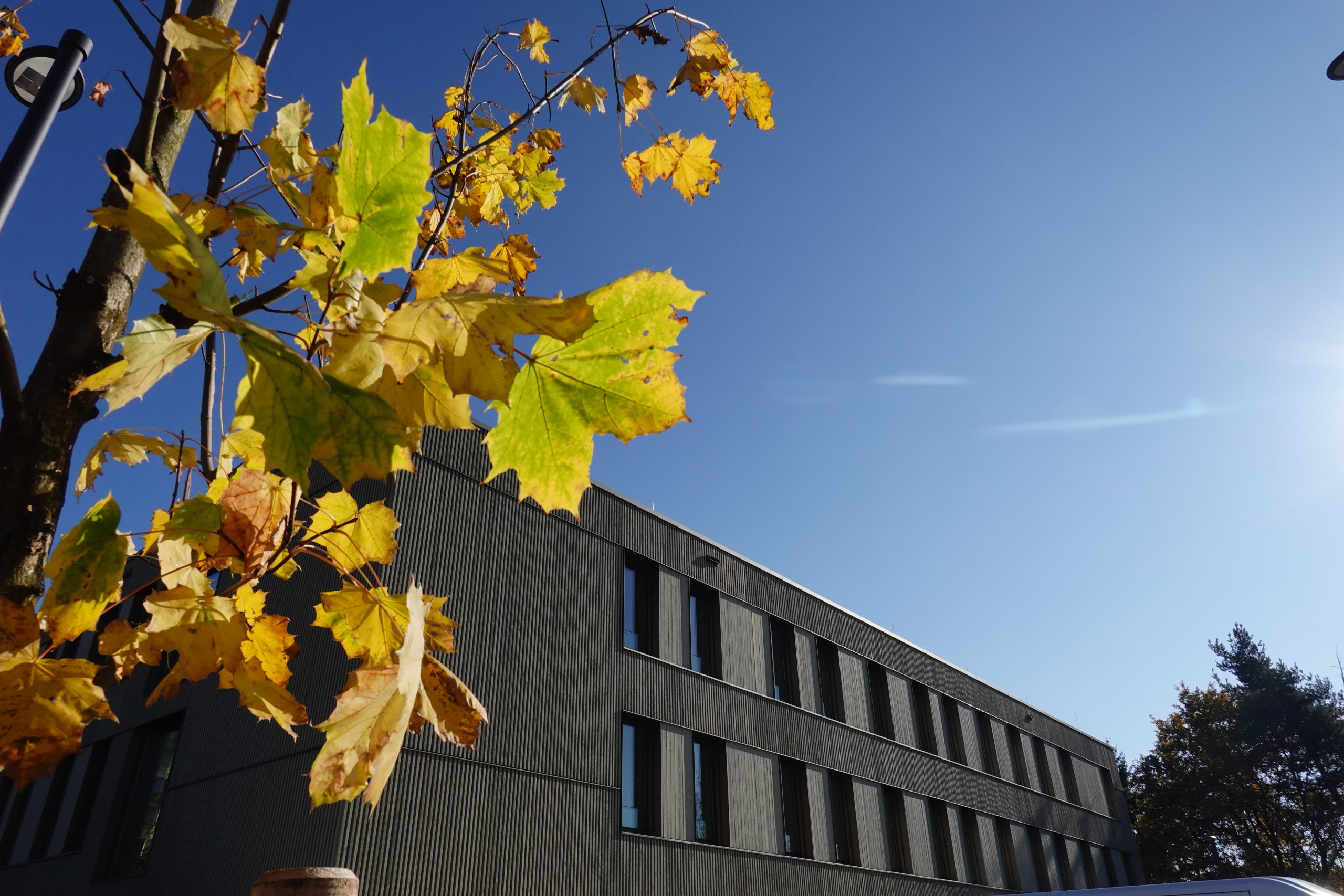 Fachtag „Innovativer Holzobjektbau – Nachhaltige Baukonzepte für öffentliche Gebäude“