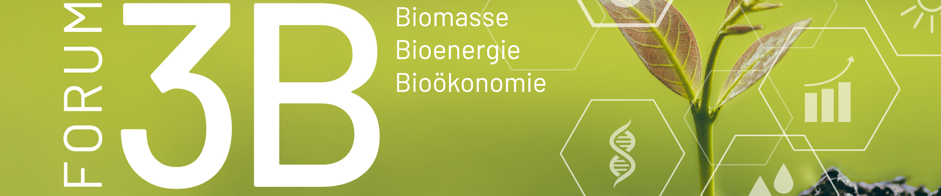 FORUM 3B | Biomasse, Bioenergie und Bioökonomie