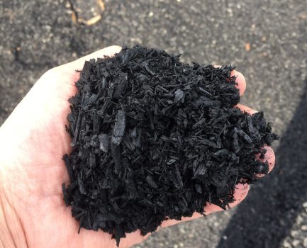 Workshop TerraBayt 2.0 – Pflanzenkohle in der Landwirtschaft: Wirkungen auf Boden und Ertrag