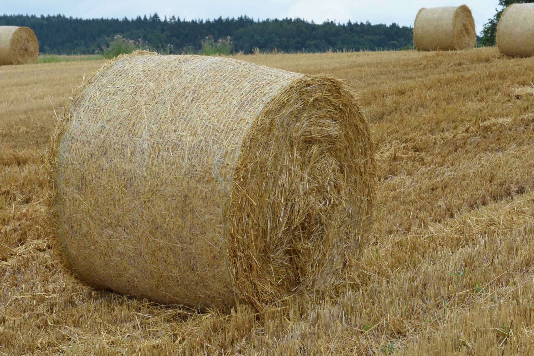 Zukunftskonzept Koppelprodukt: Wie aus Stroh, Mist und Co. nutzbare Energie wird