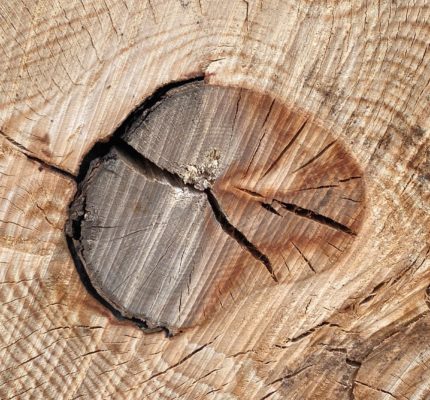 Deutscher Holzbaupreis 2023 ausgelobt – Einsendungen bis 15. Januar 2023