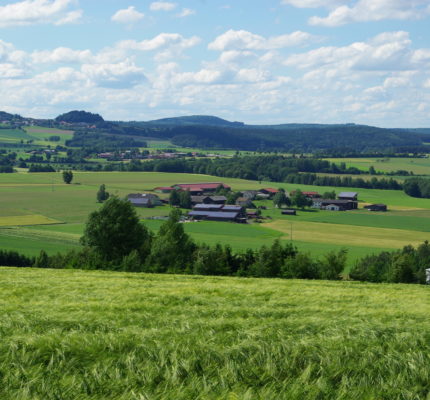 Klimaschutz-Projekte für Bayerischen Klimaschutzpreis 2024 gesucht