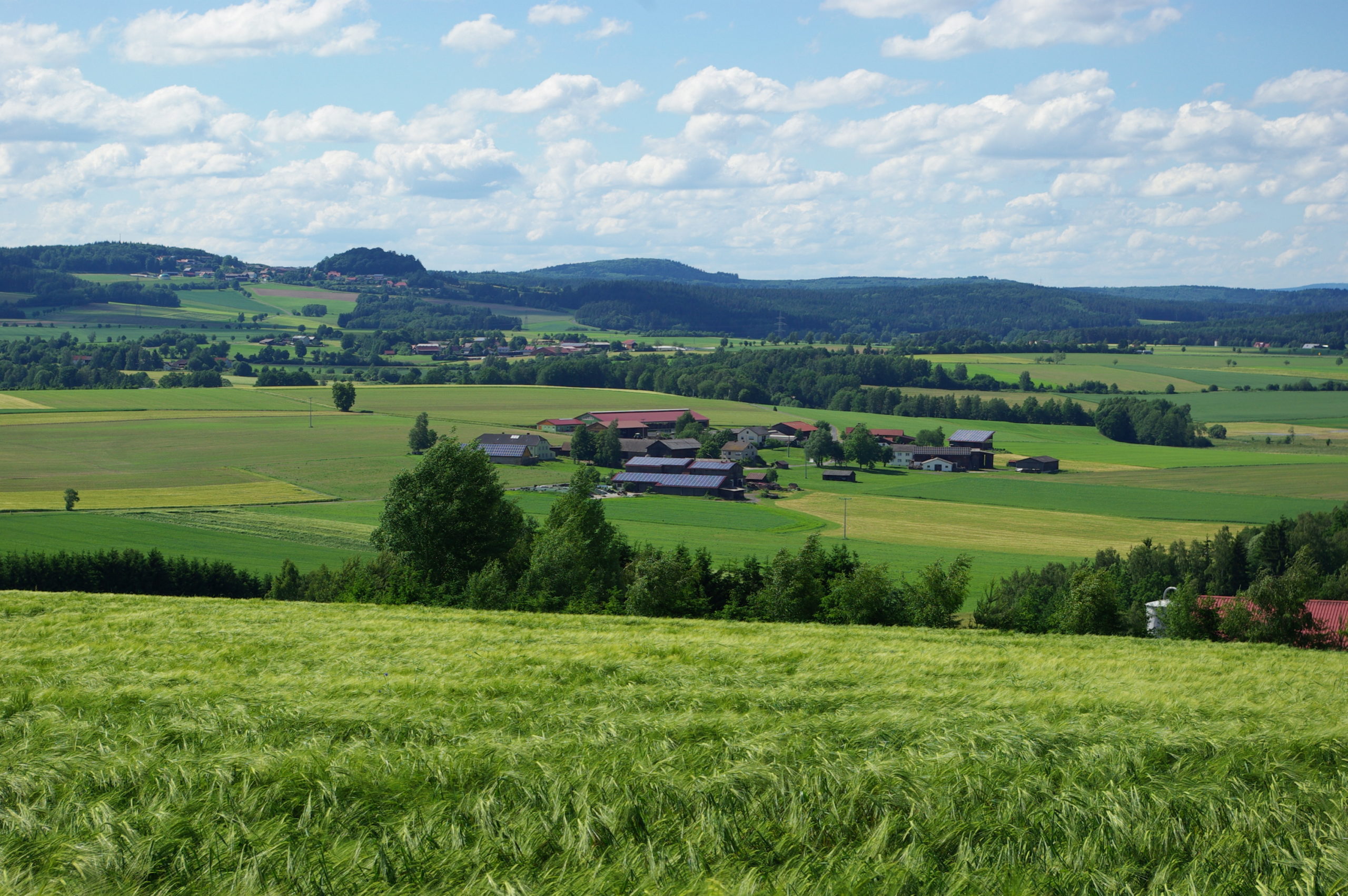 Klimaschutz-Projekte für Bayerischen Klimaschutzpreis 2024 gesucht