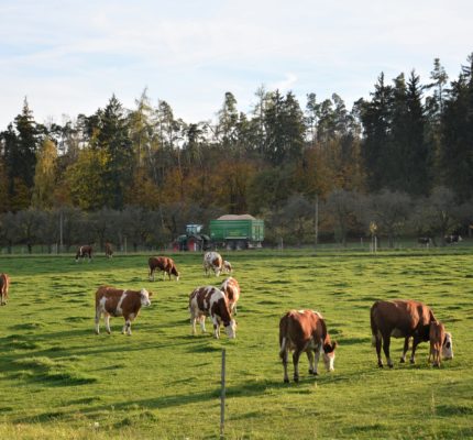 Bayerischer Klimapreis 2023