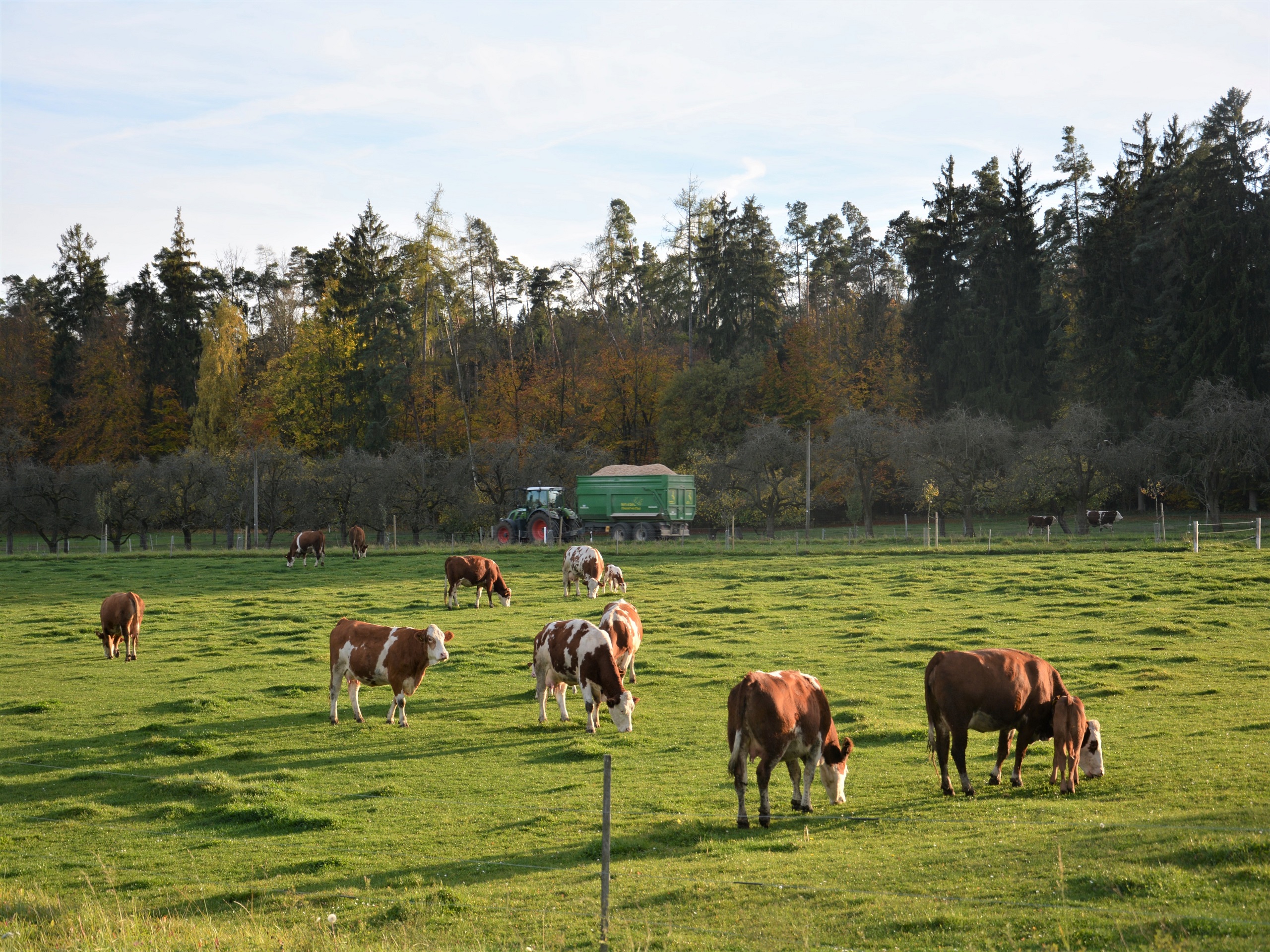 Bayerischer Klimapreis 2023