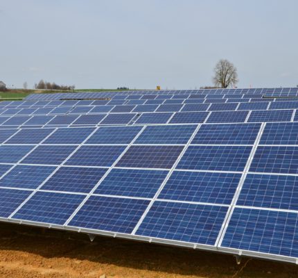 C.A.R.M.E.N.-Interview zu Solarparks und Agri-PV