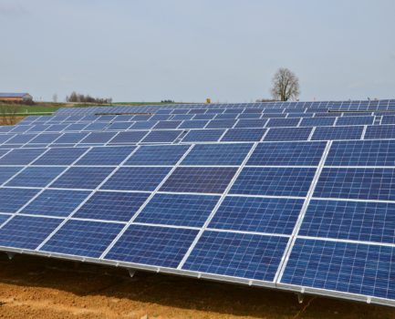 C.A.R.M.E.N.-Interview zu Solarparks und Agri-PV