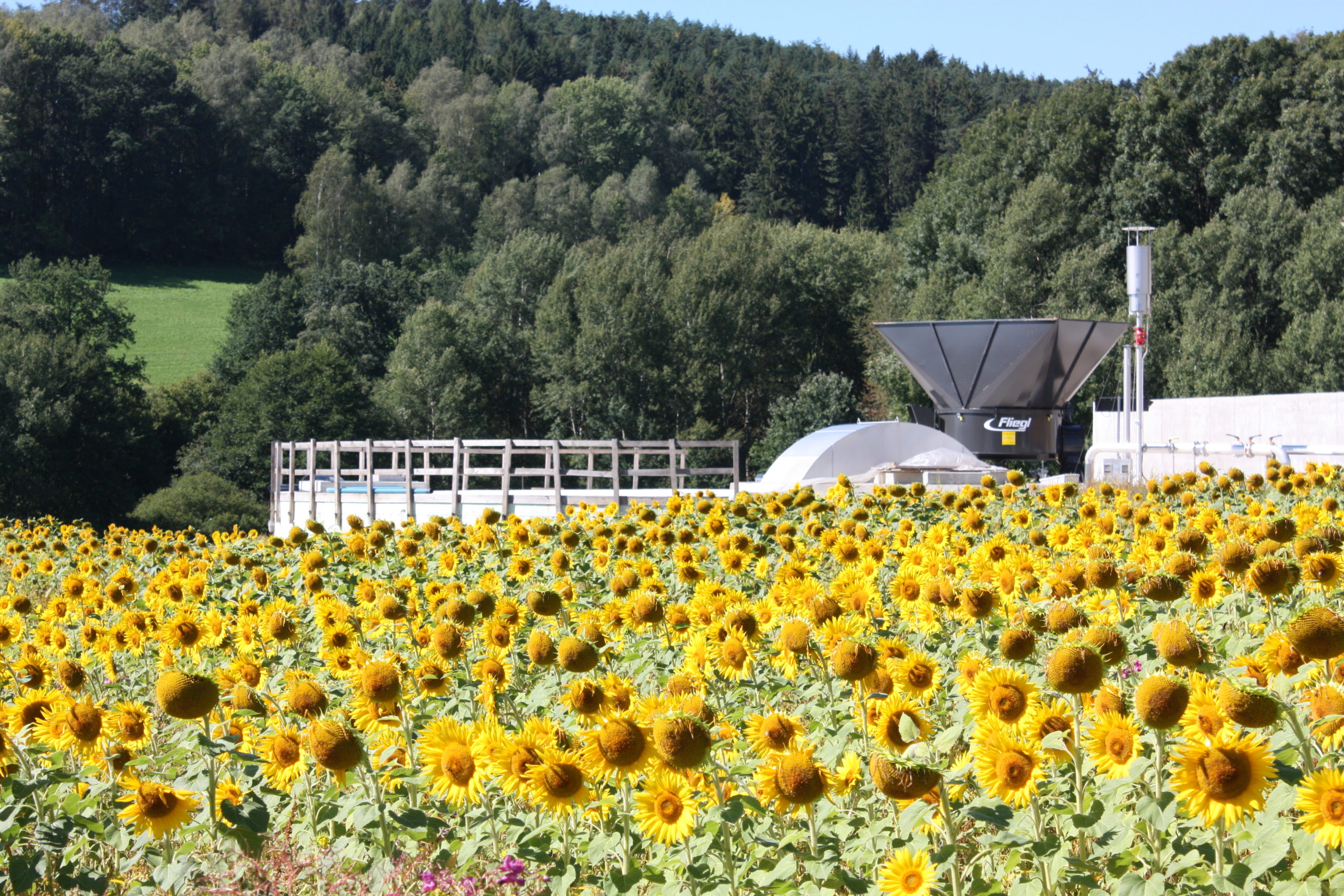 Biogas ist Vielfalt! – C.A.R.M.E.N.-Fachgespräch informiert über alternative Substrate und Gärproduktmanagement