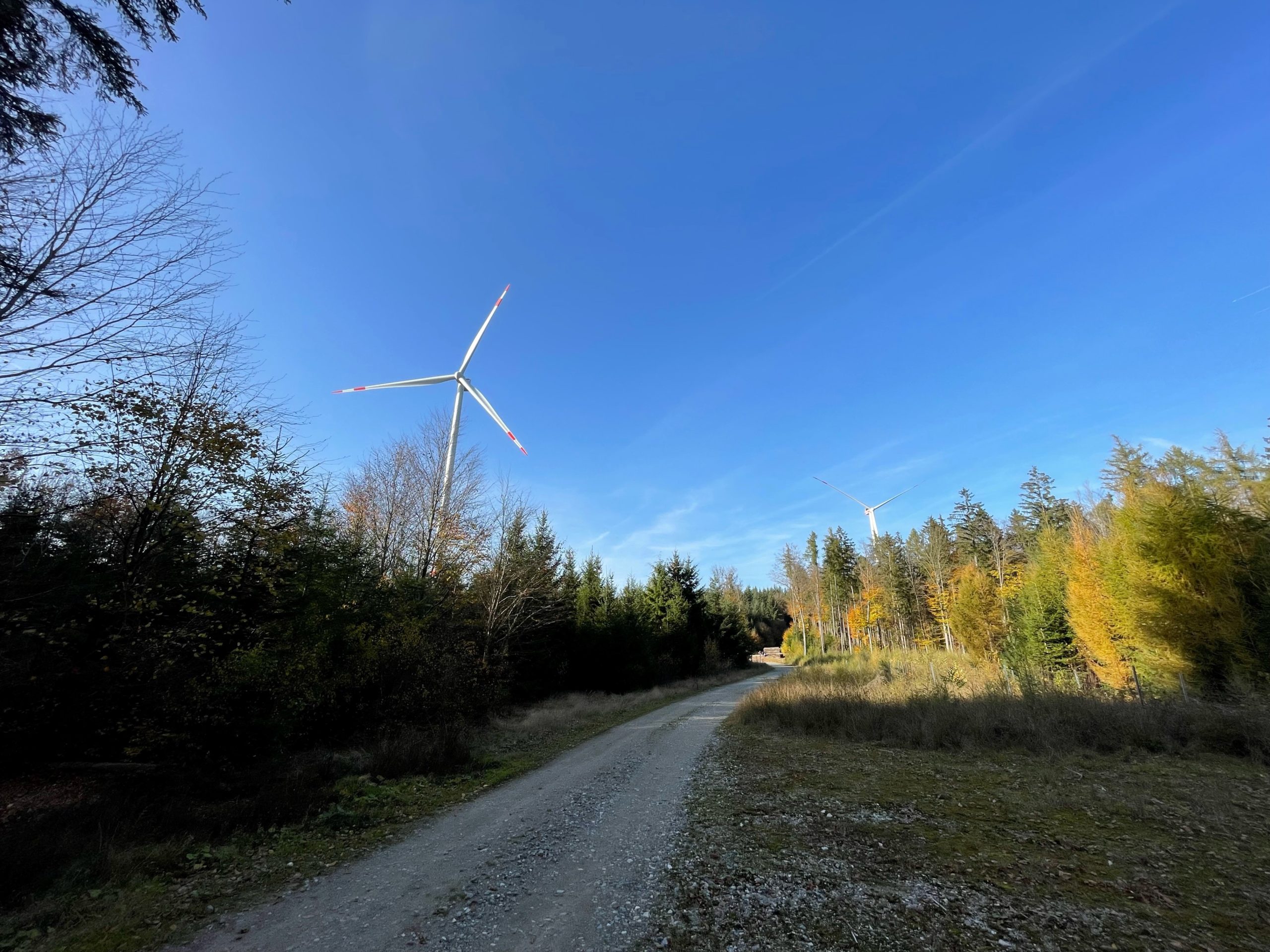 Bayerische Energietage – Wind im Wald