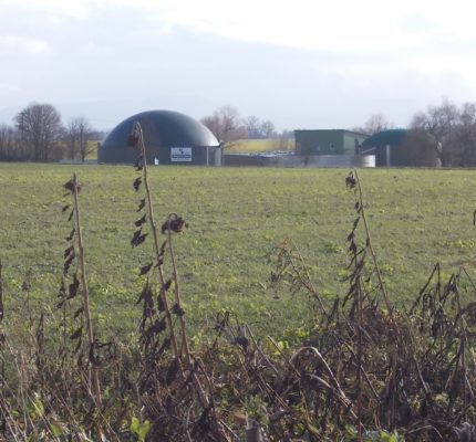 Erneuerbare-Energien-Richtlinie RED III: Mindest-Treibhausgaseinsparung für Biogas-Bestandsanlagen