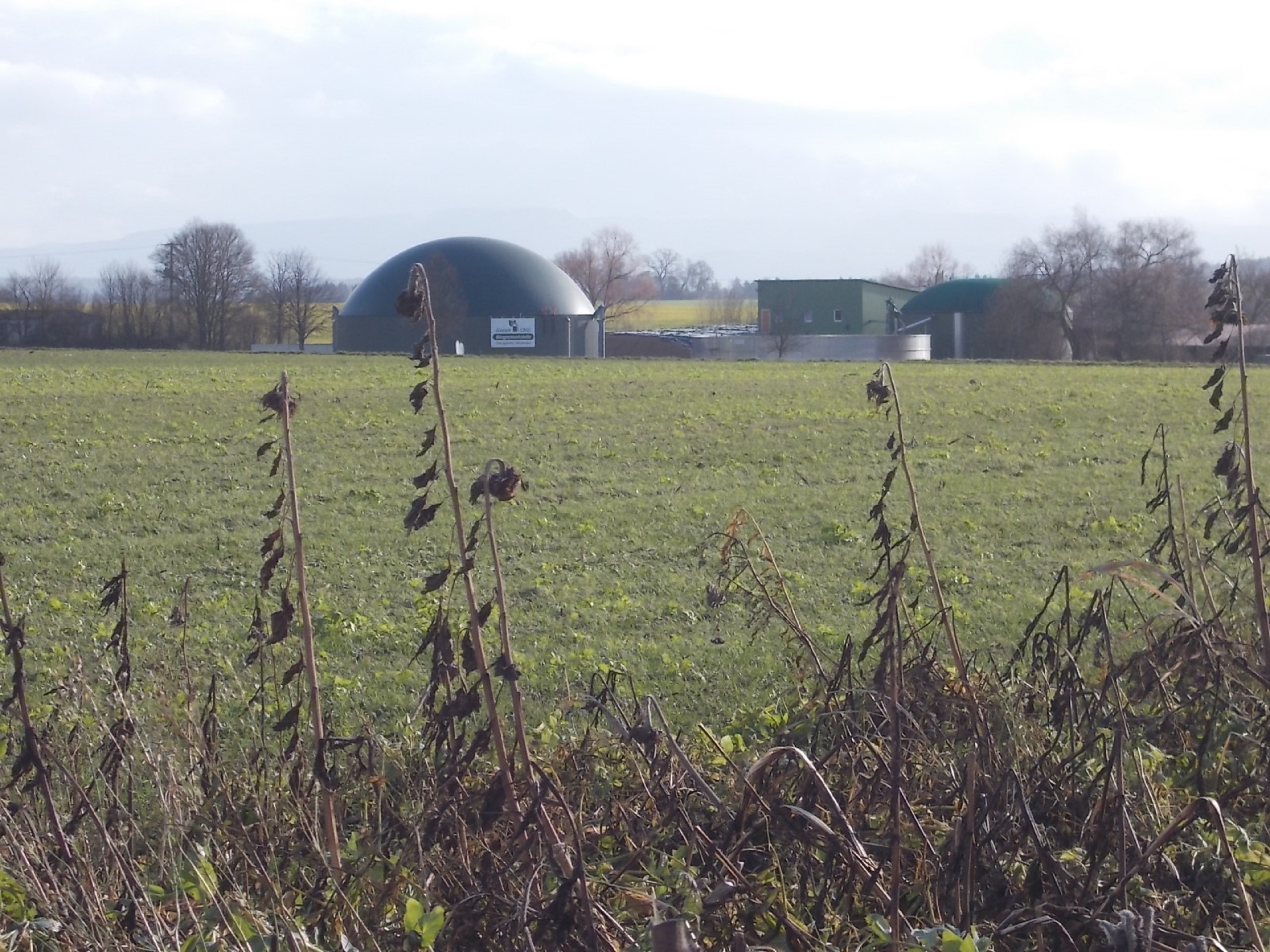 Erneuerbare-Energien-Richtlinie RED III: Mindest-Treibhausgaseinsparung für Biogas-Bestandsanlagen