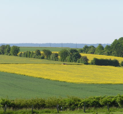 European Biomass Conference and Exhibition (EUBCE)