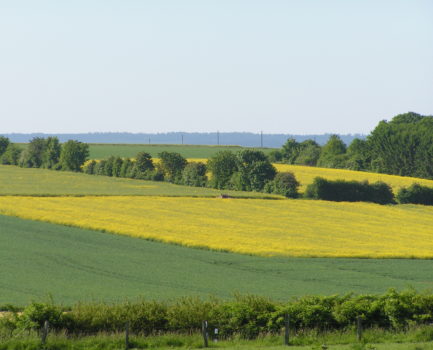 European Biomass Conference and Exhibition (EUBCE)
