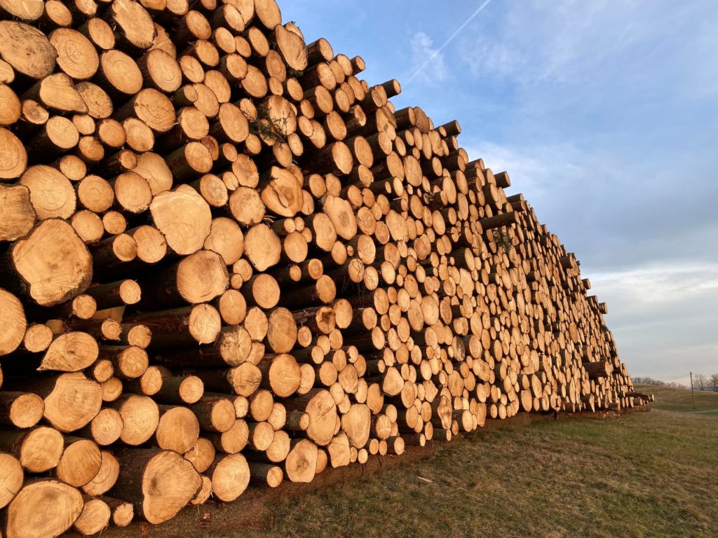 Gestapelte Holzstämme am Wegrand gelagert.