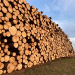 Gestapelte Holzstämme am Wegrand gelagert.