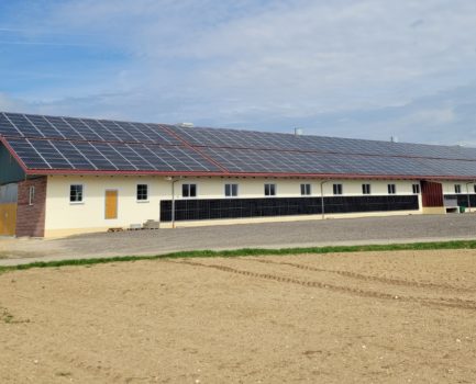 Antragstellung zum „Bundesprogramm Energieeffizienz” ab sofort wieder möglich