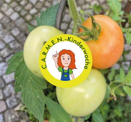 C.A.R.M.E.N.-Kinderwoche: Energiespartipp “Gemüse selbst anpflanzen”