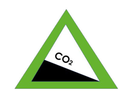 Bambus als CO<sub>2</sub>-Saugmaschine