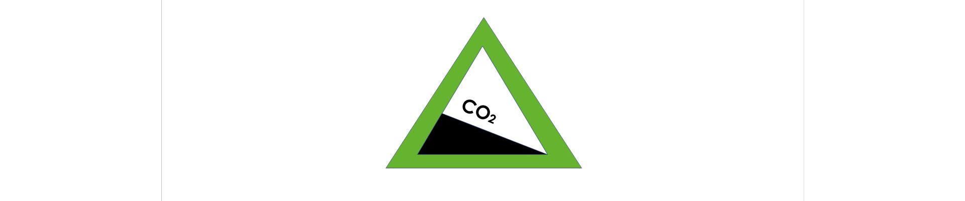 Bambus als CO2-Saugmaschine
