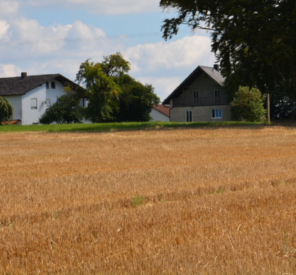 C.A.R.M.E.N.-WebSeminar-Reihe informiert über Landwirtschaft als Energie- und Rohstoffversorger