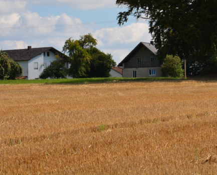 C.A.R.M.E.N.-WebSeminar-Reihe informiert über Landwirtschaft als Energie- und Rohstoffversorger