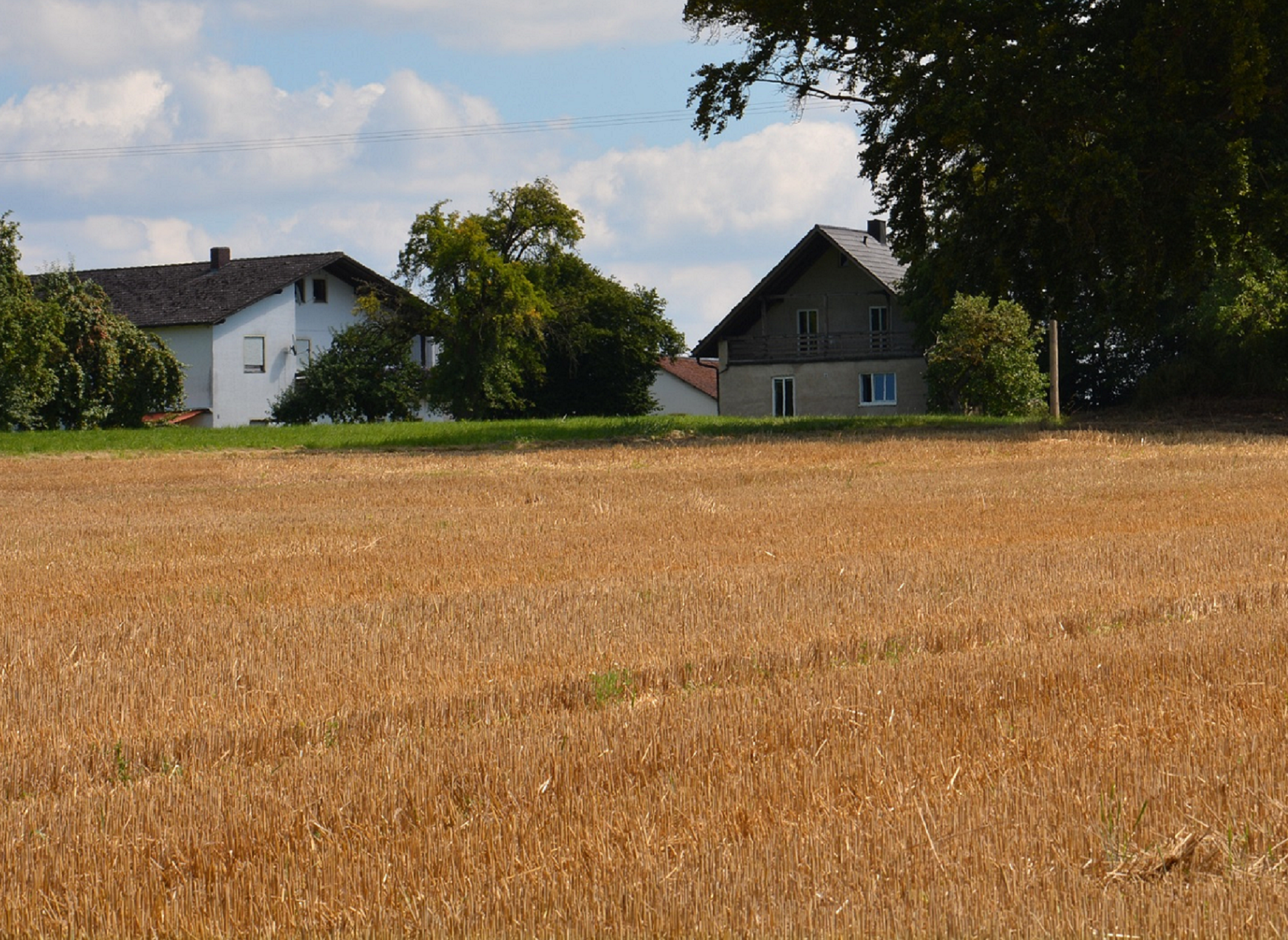 C.A.R.M.E.N.-WebSeminar-Reihe informiert über Landwirtschaft als Energie- und Rohstoffversorger