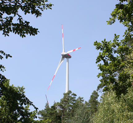 Windenergie im Wald – Tipps aus der Praxis zur waldschonenden Umsetzung