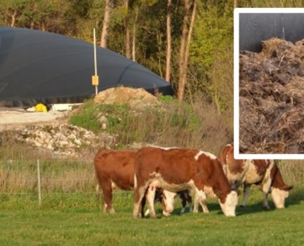 Zuschüsse des BMLEH zur Nutzung von Wirtschaftsdüngern und Emissionsminderung in Biogasanlagen