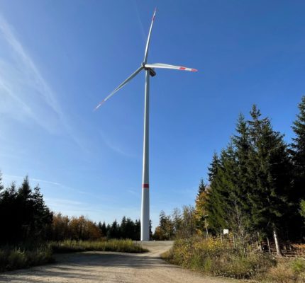 Windenergie im Wald – Neue C.A.R.M.E.N.-Seite zu Tipps aus der Praxis zur waldschonenden Umsetzung