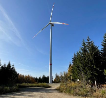 Windenergie im Wald – Neue C.A.R.M.E.N.-Seite zu Tipps aus der Praxis zur waldschonenden Umsetzung