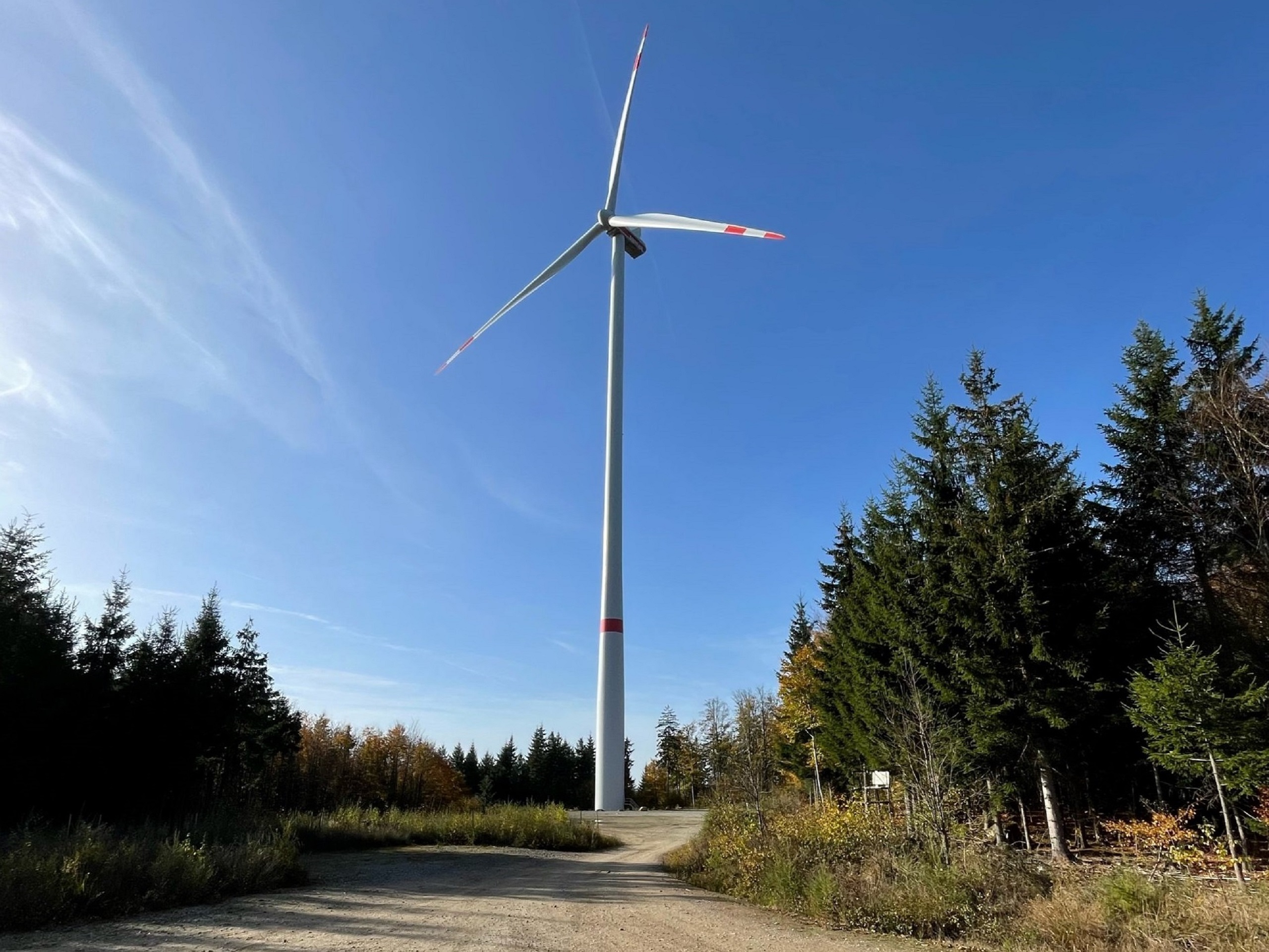 Windenergie im Wald – Neue C.A.R.M.E.N.-Seite zu Tipps aus der Praxis zur waldschonenden Umsetzung