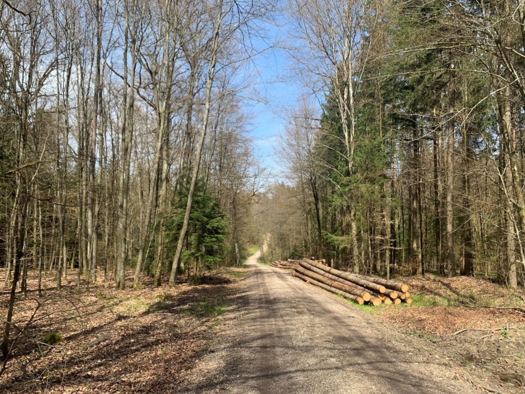 Waldstraße