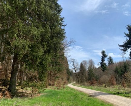 Schon gewusst? – C.A.R.M.E.N.‑FAQ Nachhaltigkeit: Begrifflichkeiten, Konzepte und Umsetzung