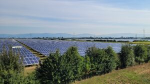 Freiflächen-Photovoltaik