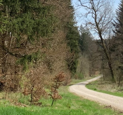 Nachhaltigkeit