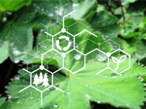 Bioökonomie und nachhaltigen Wirtschaftsweise, die auf der effizienten Nutzung biologischer Ressourcen