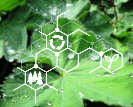 Global Bioeconomy Policy Report 2026: 63 Länder und Regionen setzen auf Bioökonomie