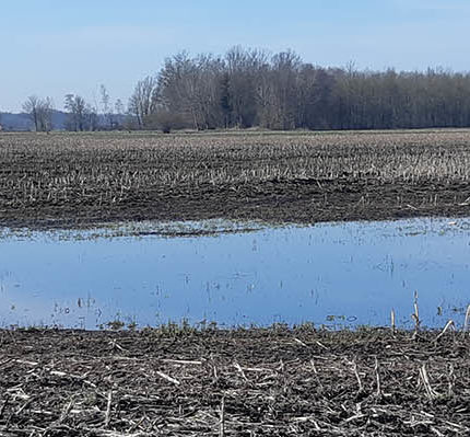 Moore – für Klimaschutz und Rohstoffproduktion