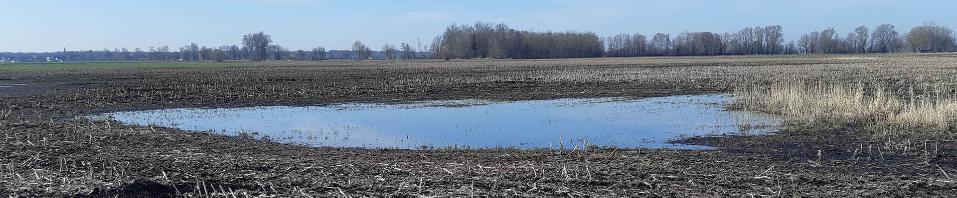 Moore – für Klimaschutz und Rohstoffproduktion