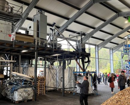 Nutzungspfade für Biomasse: Anbau, Prozesse und Produkte