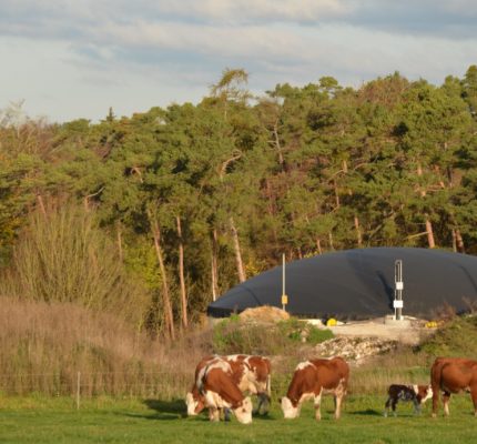 Biogas ist mehr! – Fachgespräch informiert zu Biogas im Ökolandbau