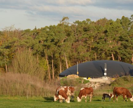 Biogas ist skalierbar – Landwirtschaftliche Güllekleinanlagen machen es möglich!