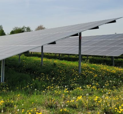 Solarpaket I verabschiedet – Das ändert sich für die Photovoltaik in Deutschland