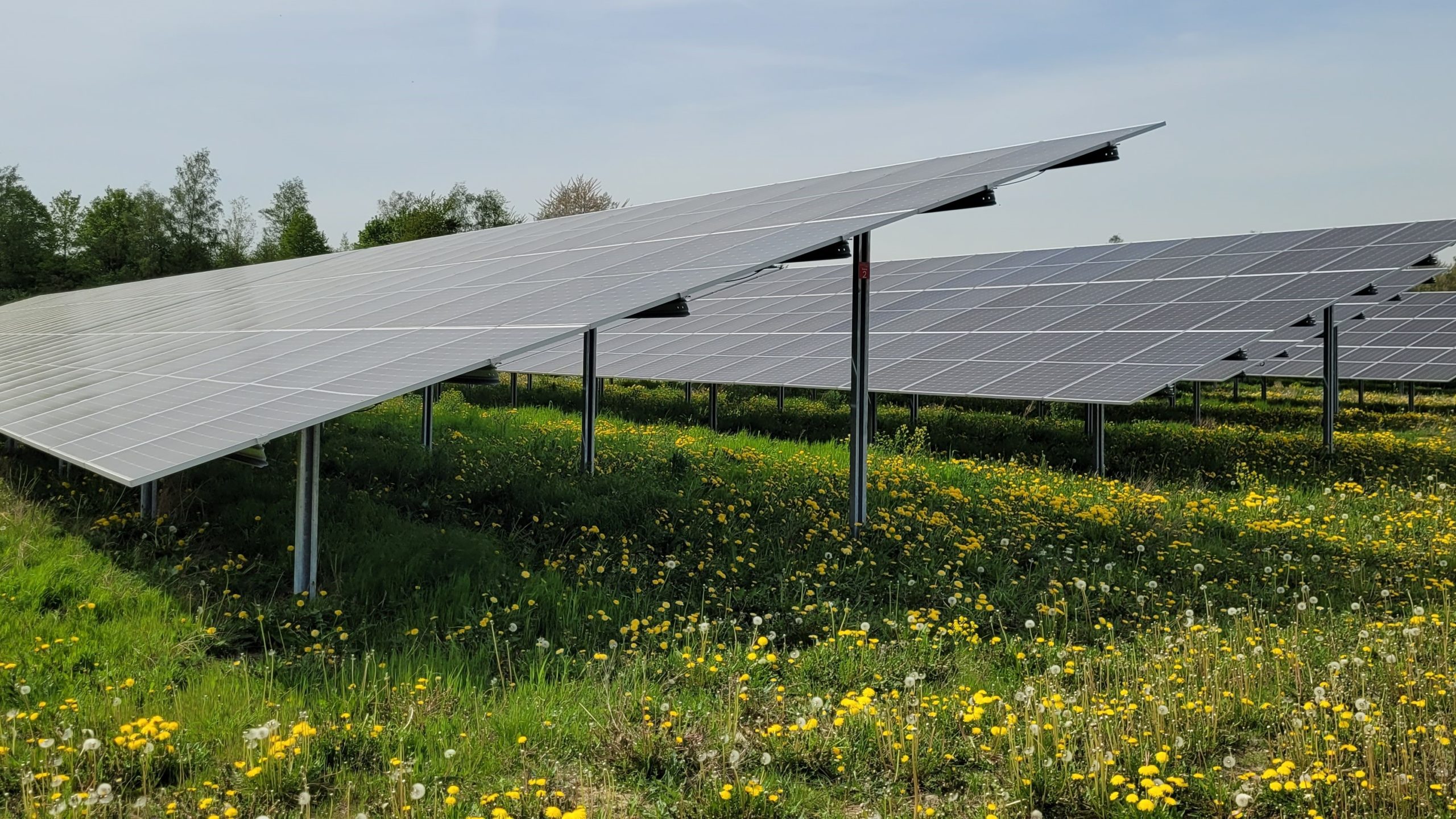 Solarpaket I verabschiedet – Das ändert sich für die Photovoltaik in Deutschland